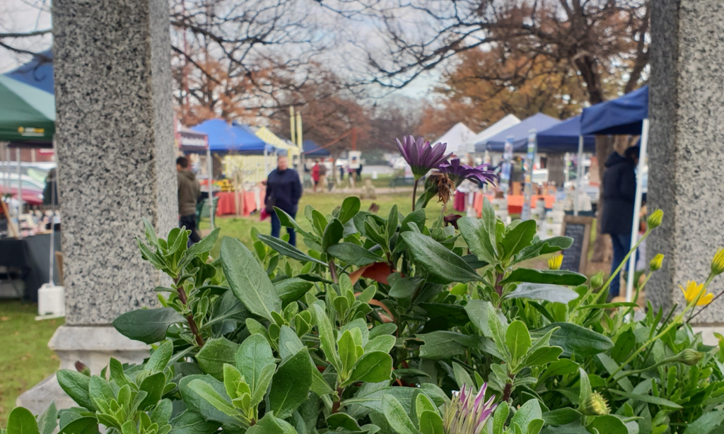 Mansfield Farmers Market Fresh regional produce straight from the